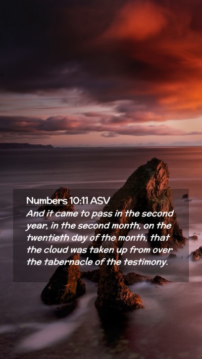 Picture 02 - Numbers 10:11 ASV Mobile Phone Wallpaper - And it came to pass in the second year, in the - Mobile Bible Verse Wallpaper