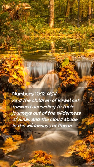 Picture 02 - Numbers 10:12 ASV Mobile Phone Wallpaper - And the children of Israel set forward according - Mobile Bible Verse Wallpaper