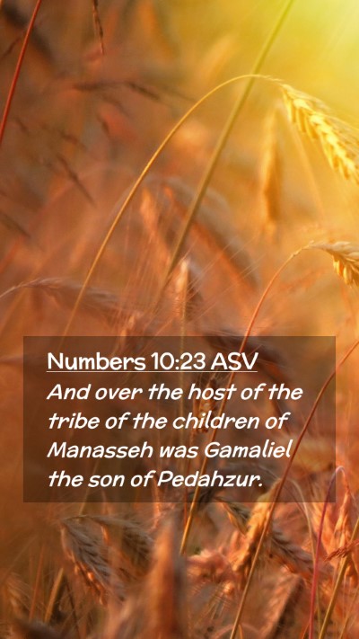 Picture 02 - Numbers 10:23 ASV Mobile Phone Wallpaper - And over the host of the tribe of the children of - Mobile Bible Verse Wallpaper