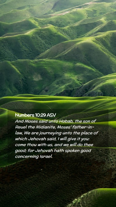 Picture 02 - Numbers 10:29 ASV Mobile Phone Wallpaper - And Moses said unto Hobab, the son of Reuel the - Mobile Bible Verse Wallpaper