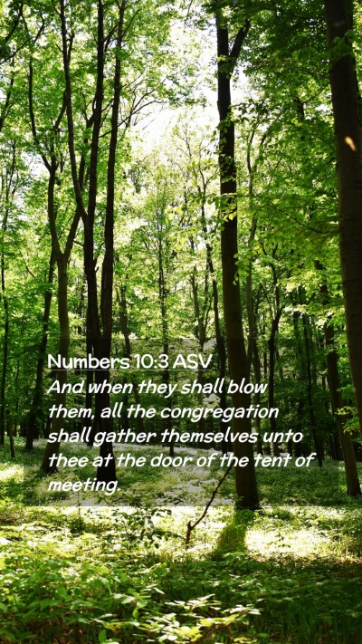 Picture 02 - Numbers 10:3 ASV Mobile Phone Wallpaper - And when they shall blow them, all the - Mobile Bible Verse Wallpaper