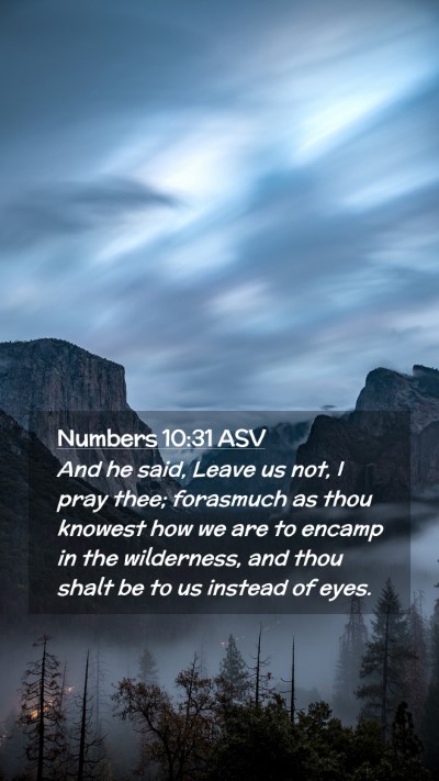 Picture 02 - Numbers 10:31 ASV Mobile Phone Wallpaper - And he said, Leave us not, I pray thee; forasmuch - Mobile Bible Verse Wallpaper