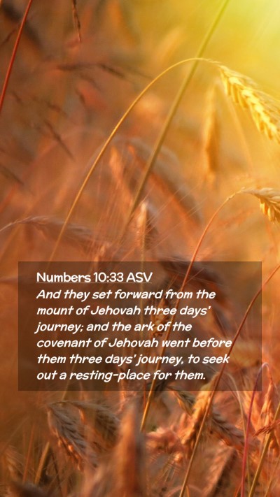 Picture 02 - Numbers 10:33 ASV Mobile Phone Wallpaper - And they set forward from the mount of Jehovah - Mobile Bible Verse Wallpaper