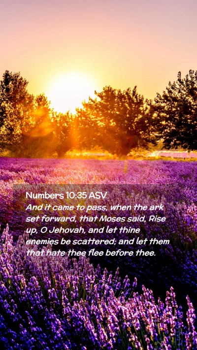 Picture 02 - Numbers 10:35 ASV Mobile Phone Wallpaper - And it came to pass, when the ark set forward, - Mobile Bible Verse Wallpaper