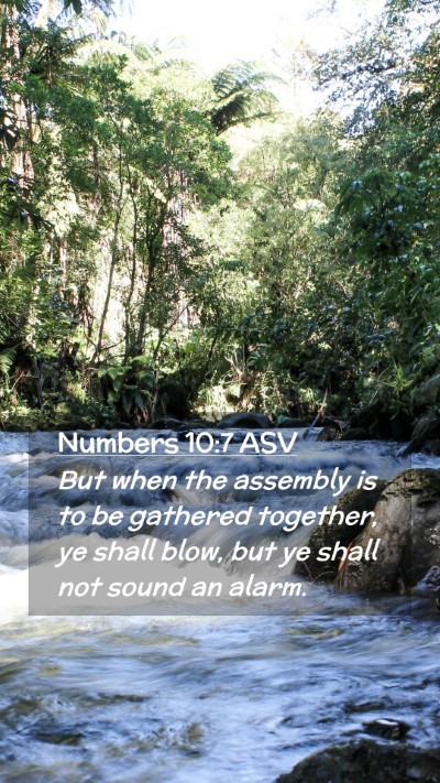 Picture 02 - Numbers 10:7 ASV Mobile Phone Wallpaper - But when the assembly is to be gathered together, - Mobile Bible Verse Wallpaper