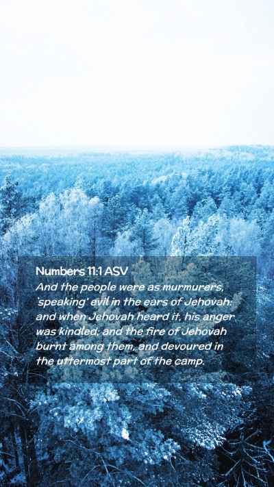 Picture 02 - Numbers 11:1 ASV Mobile Phone Wallpaper - And the people were as murmurers, `speaking' evil - Mobile Bible Verse Wallpaper