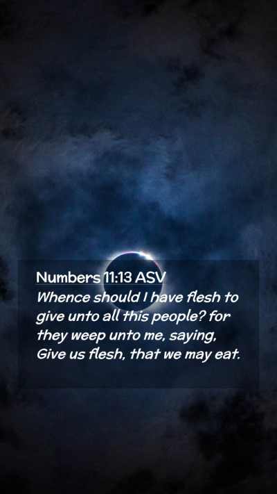 Picture 02 - Numbers 11:13 ASV Mobile Phone Wallpaper - Whence should I have flesh to give unto all this - Mobile Bible Verse Wallpaper