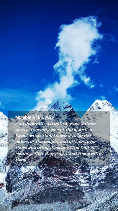 Picture 02 - Numbers 11:16 ASV Mobile Phone Wallpaper - And Jehovah said unto Moses, Gather unto me - Mobile Bible Verse Wallpaper