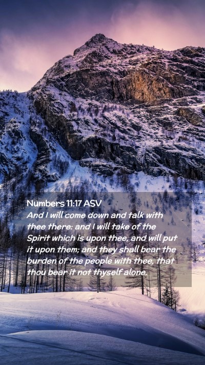 Picture 02 - Numbers 11:17 ASV Mobile Phone Wallpaper - And I will come down and talk with thee there: - Mobile Bible Verse Wallpaper