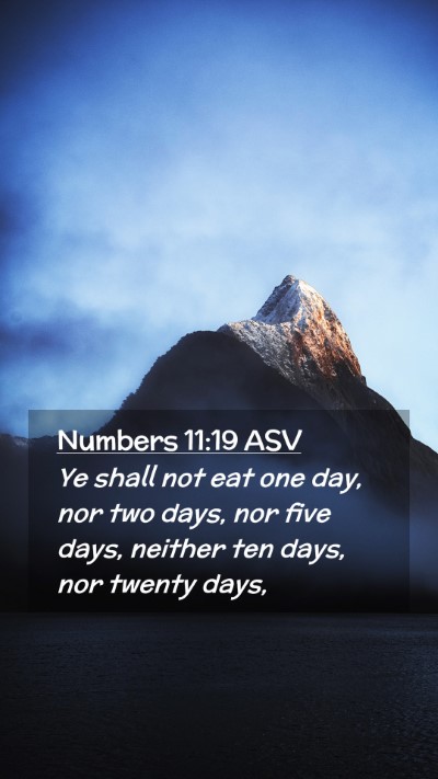Picture 02 - Numbers 11:19 ASV Mobile Phone Wallpaper - Ye shall not eat one day, nor two days, nor five - Mobile Bible Verse Wallpaper