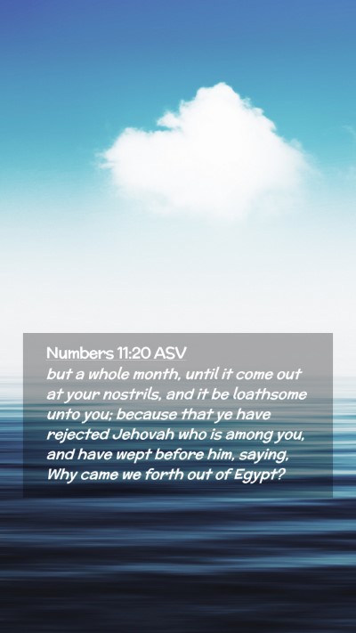 Picture 02 - Numbers 11:20 ASV Mobile Phone Wallpaper - but a whole month, until it come out at your - Mobile Bible Verse Wallpaper