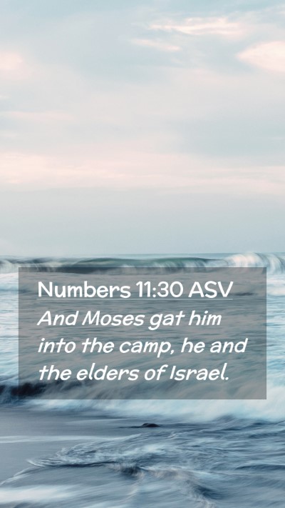 Picture 02 - Numbers 11:30 ASV Mobile Phone Wallpaper - And Moses gat him into the camp, he and the - Mobile Bible Verse Wallpaper