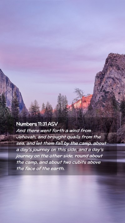 Picture 02 - Numbers 11:31 ASV Mobile Phone Wallpaper - And there went forth a wind from Jehovah, and - Mobile Bible Verse Wallpaper