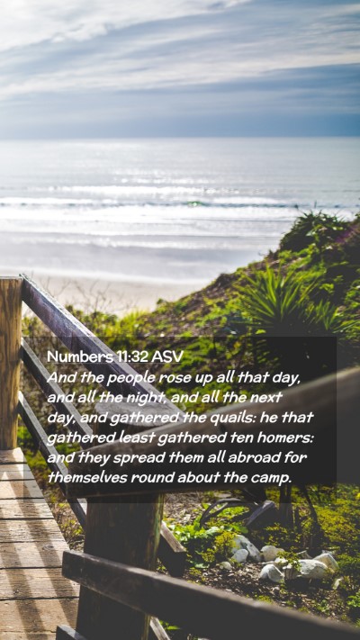 Picture 02 - Numbers 11:32 ASV Mobile Phone Wallpaper - And the people rose up all that day, and all the - Mobile Bible Verse Wallpaper