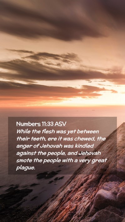 Picture 02 - Numbers 11:33 ASV Mobile Phone Wallpaper - While the flesh was yet between their teeth, ere - Mobile Bible Verse Wallpaper