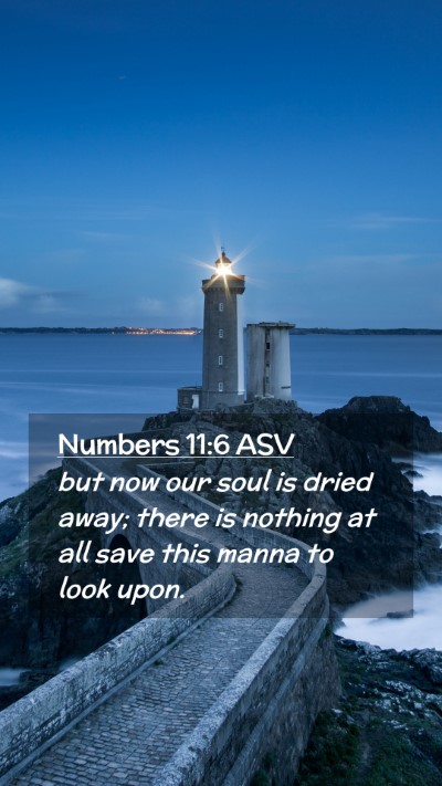 Picture 02 - Numbers 11:6 ASV Mobile Phone Wallpaper - but now our soul is dried away; there is nothing - Mobile Bible Verse Wallpaper