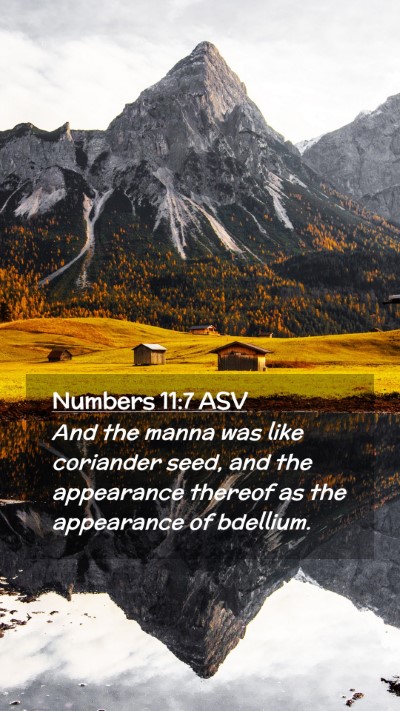 Picture 02 - Numbers 11:7 ASV Mobile Phone Wallpaper - And the manna was like coriander seed, and the - Mobile Bible Verse Wallpaper