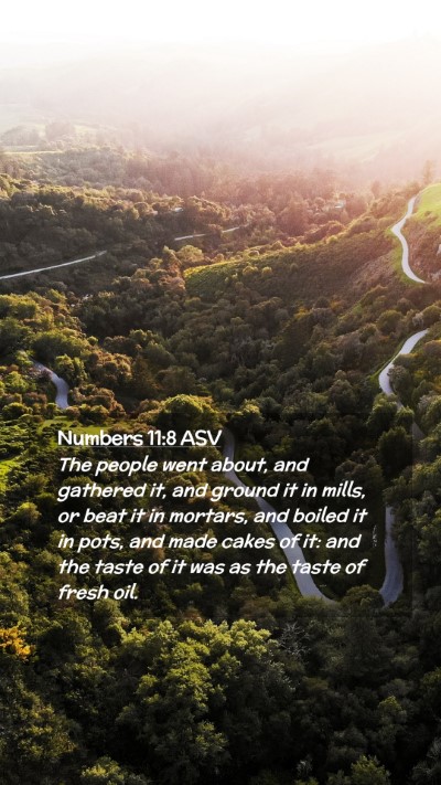 Picture 02 - Numbers 11:8 ASV Mobile Phone Wallpaper - The people went about, and gathered it, and - Mobile Bible Verse Wallpaper