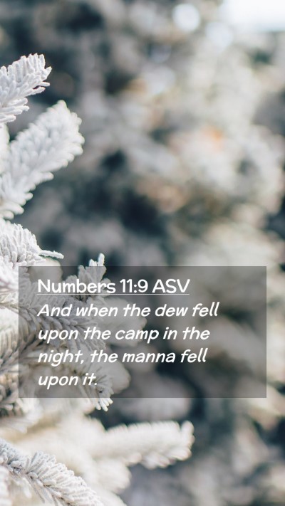Picture 02 - Numbers 11:9 ASV Mobile Phone Wallpaper - And when the dew fell upon the camp in the night, - Mobile Bible Verse Wallpaper