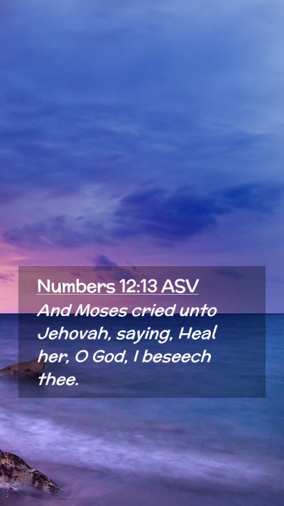 Picture 02 - Numbers 12:13 ASV Mobile Phone Wallpaper - And Moses cried unto Jehovah, saying, Heal her, O - Mobile Bible Verse Wallpaper