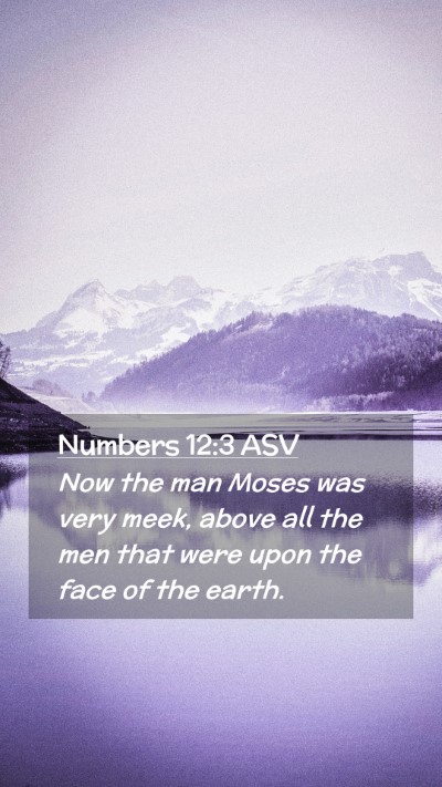 Picture 02 - Numbers 12:3 ASV Mobile Phone Wallpaper - Now the man Moses was very meek, above all the - Mobile Bible Verse Wallpaper