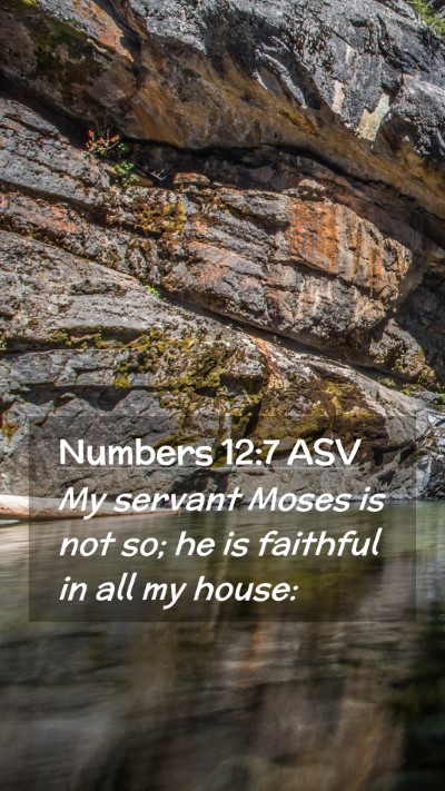 Picture 02 - Numbers 12:7 ASV Mobile Phone Wallpaper - My servant Moses is not so; he is faithful in all - Mobile Bible Verse Wallpaper