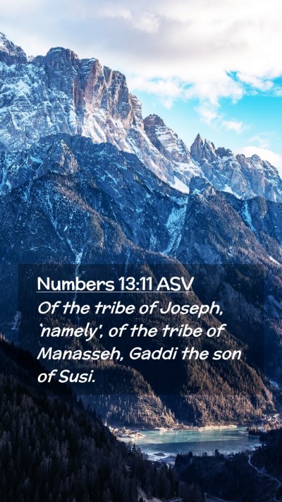 Picture 02 - Numbers 13:11 ASV Mobile Phone Wallpaper - Of the tribe of Joseph, `namely', of the tribe of - Mobile Bible Verse Wallpaper