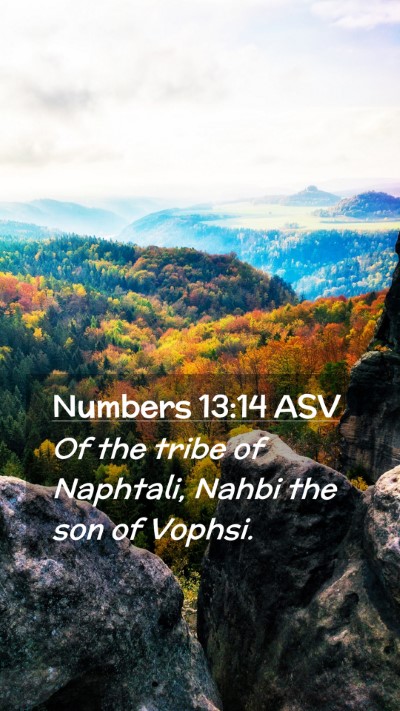 Picture 02 - Numbers 13:14 ASV Mobile Phone Wallpaper - Of the tribe of Naphtali, Nahbi the son of - Mobile Bible Verse Wallpaper