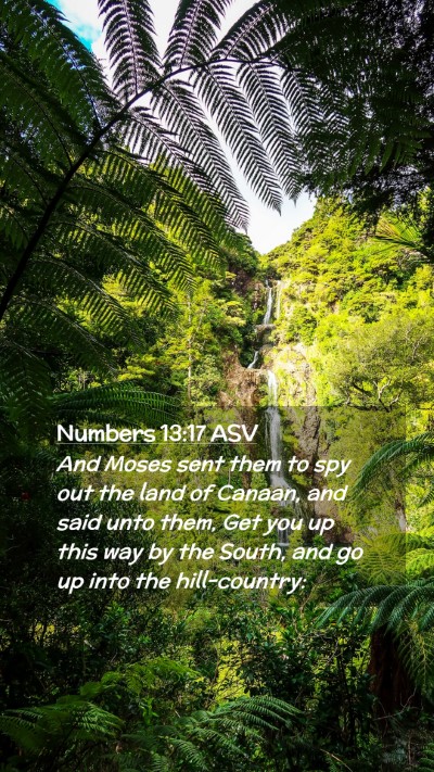 Picture 02 - Numbers 13:17 ASV Mobile Phone Wallpaper - And Moses sent them to spy out the land of - Mobile Bible Verse Wallpaper