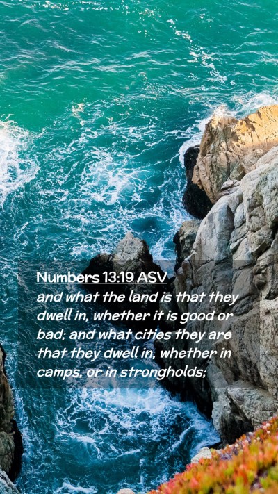 Picture 02 - Numbers 13:19 ASV Mobile Phone Wallpaper - and what the land is that they dwell in, whether - Mobile Bible Verse Wallpaper