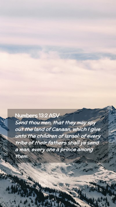 Picture 02 - Numbers 13:2 ASV Mobile Phone Wallpaper - Send thou men, that they may spy out the land of - Mobile Bible Verse Wallpaper
