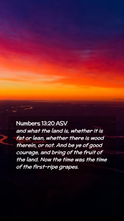 Picture 02 - Numbers 13:20 ASV Mobile Phone Wallpaper - and what the land is, whether it is fat or lean, - Mobile Bible Verse Wallpaper