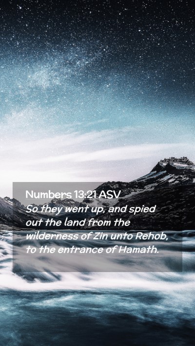 Picture 02 - Numbers 13:21 ASV Mobile Phone Wallpaper - So they went up, and spied out the land from the - Mobile Bible Verse Wallpaper