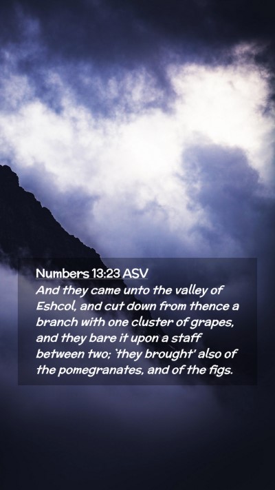 Picture 02 - Numbers 13:23 ASV Mobile Phone Wallpaper - And they came unto the valley of Eshcol, and cut - Mobile Bible Verse Wallpaper