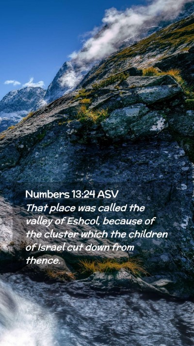 Picture 02 - Numbers 13:24 ASV Mobile Phone Wallpaper - That place was called the valley of Eshcol, - Mobile Bible Verse Wallpaper