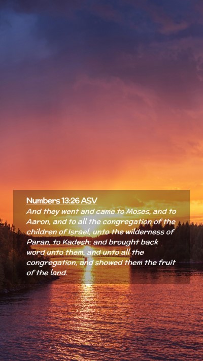 Picture 02 - Numbers 13:26 ASV Mobile Phone Wallpaper - And they went and came to Moses, and to Aaron, - Mobile Bible Verse Wallpaper