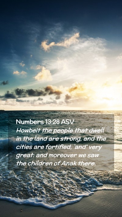 Picture 02 - Numbers 13:28 ASV Mobile Phone Wallpaper - Howbeit the people that dwell in the land are - Mobile Bible Verse Wallpaper