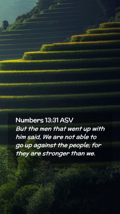 Picture 02 - Numbers 13:31 ASV Mobile Phone Wallpaper - But the men that went up with him said, We are - Mobile Bible Verse Wallpaper