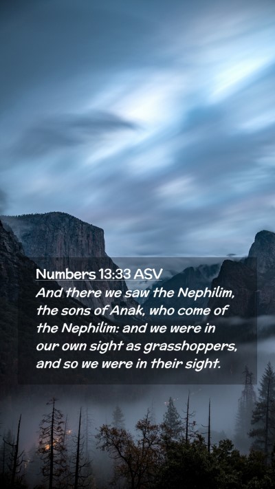 Picture 02 - Numbers 13:33 ASV Mobile Phone Wallpaper - And there we saw the Nephilim, the sons of Anak, - Mobile Bible Verse Wallpaper