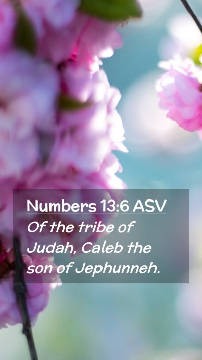 Picture 02 - Numbers 13:6 ASV Mobile Phone Wallpaper - Of the tribe of Judah, Caleb the son of - Mobile Bible Verse Wallpaper