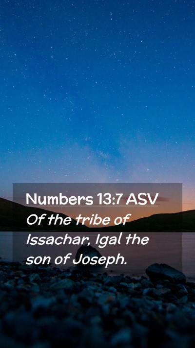 Picture 02 - Numbers 13:7 ASV Mobile Phone Wallpaper - Of the tribe of Issachar, Igal the son of - Mobile Bible Verse Wallpaper