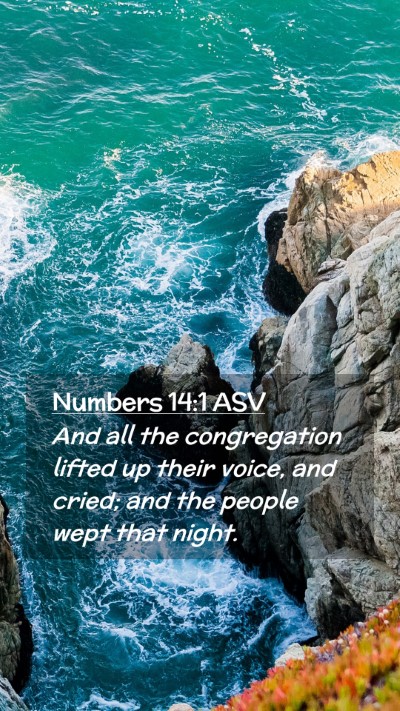 Picture 02 - Numbers 14:1 ASV Mobile Phone Wallpaper - And all the congregation lifted up their voice, - Mobile Bible Verse Wallpaper