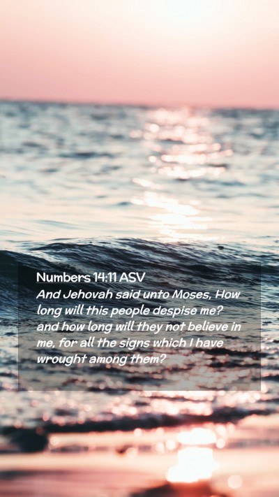 Picture 02 - Numbers 14:11 ASV Mobile Phone Wallpaper - And Jehovah said unto Moses, How long will this - Mobile Bible Verse Wallpaper