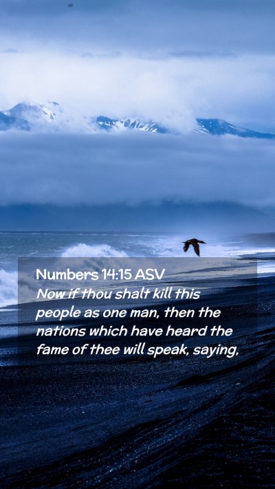 Picture 02 - Numbers 14:15 ASV Mobile Phone Wallpaper - Now if thou shalt kill this people as one man, - Mobile Bible Verse Wallpaper