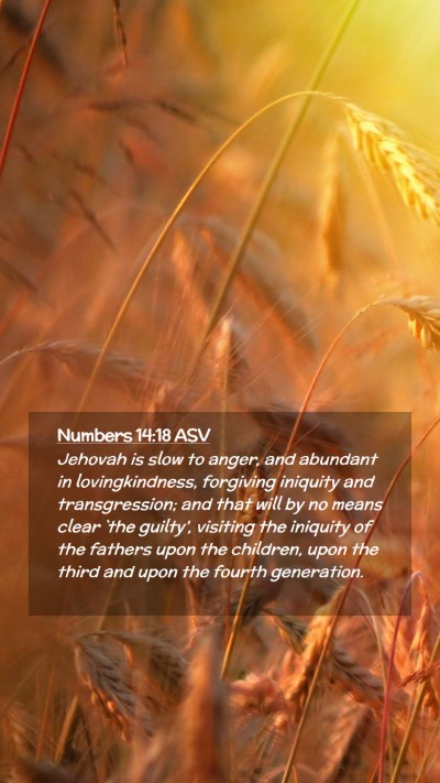 Picture 02 - Numbers 14:18 ASV Mobile Phone Wallpaper - Jehovah is slow to anger, and abundant in - Mobile Bible Verse Wallpaper