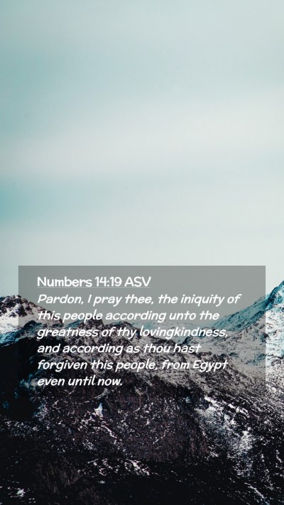 Picture 02 - Numbers 14:19 ASV Mobile Phone Wallpaper - Pardon, I pray thee, the iniquity of this people - Mobile Bible Verse Wallpaper