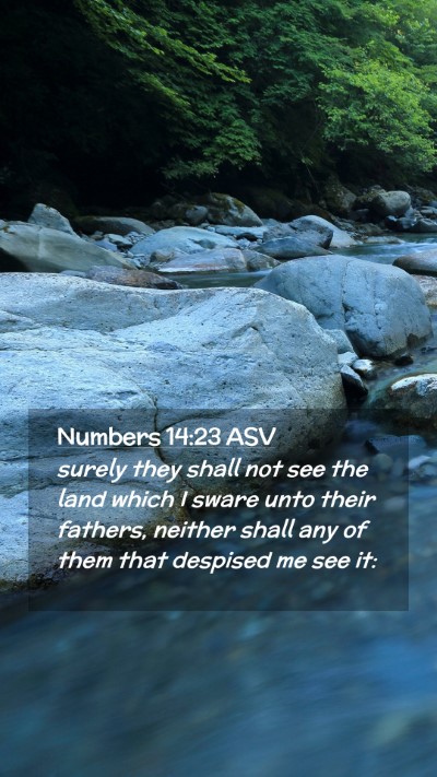 Picture 02 - Numbers 14:23 ASV Mobile Phone Wallpaper - surely they shall not see the land which I sware - Mobile Bible Verse Wallpaper