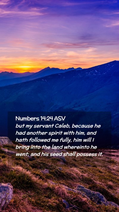 Picture 02 - Numbers 14:24 ASV Mobile Phone Wallpaper - but my servant Caleb, because he had another - Mobile Bible Verse Wallpaper