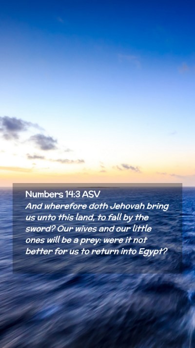 Picture 02 - Numbers 14:3 ASV Mobile Phone Wallpaper - And wherefore doth Jehovah bring us unto this - Mobile Bible Verse Wallpaper