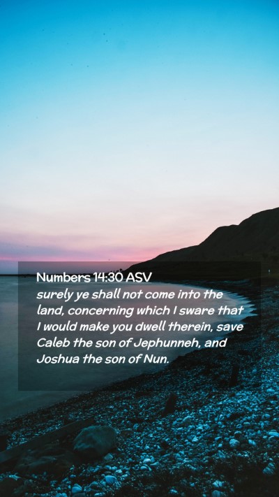 Picture 02 - Numbers 14:30 ASV Mobile Phone Wallpaper - surely ye shall not come into the land, - Mobile Bible Verse Wallpaper